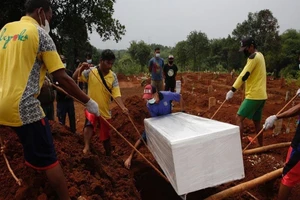 Nhân viên nghĩa trang chôn cất quan tài của một nạn nhân COVID-19 ở Indonesia.