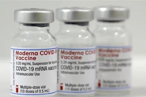 Những lọ vaccine ngừa COVID-19 do công ty dược phẩm Mỹ Moderna sản xuất.