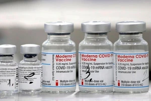 Những lọ vaccine ngừa COVID-19 của Pfizer/BioNTech và Moderna được chụp vào ngày 25-2.