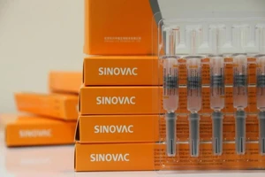 Một hộp chứa những lọ vaccine ngừa COVID-19 do hãng dược Trung Quốc Sinovac sản xuất.