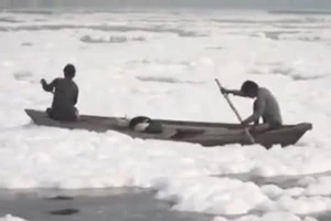 Bất chấp những nguy cơ về sức khỏe khi tiếp xúc trực tiếp với những mảng bọt độc hại, người dân Ấn Độ vẫn tiếp tục đằm mình trong dòng sông đầy ô nhiễm.