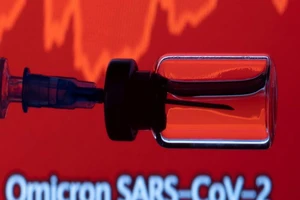 Một lọ và ống tiêm được nhìn thấy phía trước biểu đồ hiển thị dòng chữ Omicron SARS-CoV-2, ngày 27-11.