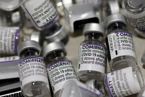 Những lọ vaccine Pfizer/BioNTech rỗng tại một trung tâm tiêm chủng ở Pháp, ngày 23-11.