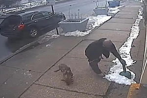 Người đàn ông cột chú chó lại trước nhà nuôi thú bị bỏ rơi rồi lên xe bỏ đi.