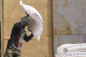 Một công nhân chất đống các bao bột bên trong nhà kho ở thành phố cảng Basra, miền nam Iraq, vào ngày 6-3.