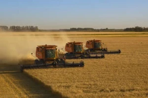 Mỹ: Nghị sĩ đề xuất kế hoạch ngăn xảy ra đói liên quan xung đột Nga-Ukraine