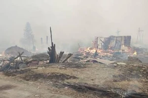 Theo các nhà chức trách, vụ cháy rừng kinh hoàng đã ảnh hưởng đến 20 thị trấn ở Siberia.