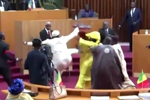 Nữ nghị sĩ đảng cầm quyền Amy Ndiaye bị một nam đồng nghiệp đá vào bụng và có nguy cơ sảy thai.