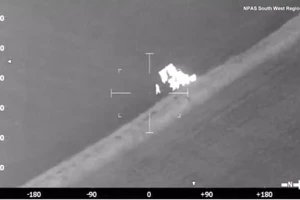 Đàn bò "tống" kẻ tình nghi ăn trộm ra khỏi bãi cỏ về phía cảnh sát.