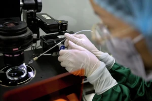 Cuộc sống của 3 đứa trẻ được chỉnh sửa gene đầu tiên trên thế giới