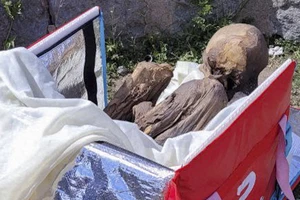 Bộ xác ướp được tìm thấy bên trong balo của một nhân viên giao hàng ở Peru.