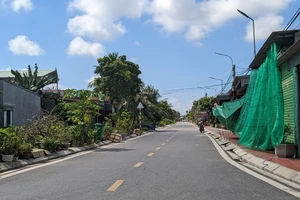 Hải Phòng: Thêm 1 chủ tịch phường xin từ chức