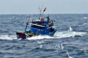 Tìm thấy thi thể 1 người trong vụ 3 ngư dân mất tích trên vùng biển Hải Phòng