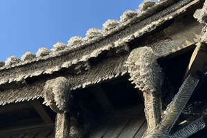 Sau 8 năm, băng giá xuất hiện nhiều trên chùa Đồng Yên Tử