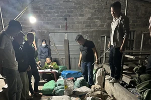 Giấu cả tấn pháo nổ trong chuồng bò