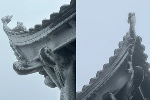 Rét đậm, đỉnh Yên Tử bao phủ bởi băng giá