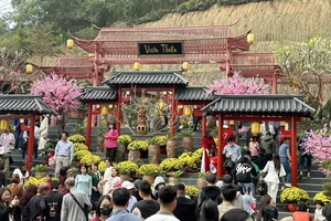 Biển người đổ xô lên chùa Cây Thị để chụp ảnh