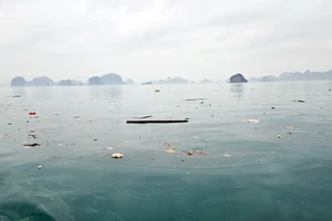 Rác trên vịnh Hạ Long không xuất phát từ du khách, vậy từ đâu ra?