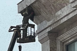 Một khách sạn phá tổ ong, cháu bé đi đường bị hàng chục vết ong đốt