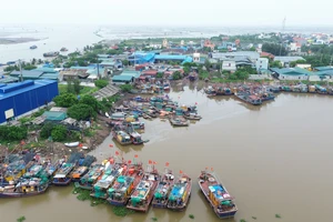 Bão số 2: Nhiều tỉnh cấm biển, bắn pháo sáng gọi tàu thuyền trú tránh