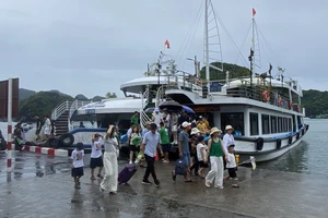 Gần 4.000 du khách mắc kẹt do bão số 2, khách sạn ở Cát Bà hỗ trợ giảm giá 50% 