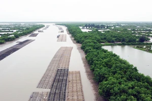 Thái Bình chính thức công bố ranh giới Khu Bảo tồn thiên nhiên đất ngập nước Tiền Hải