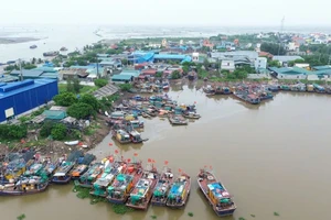 Bão số 3 mạnh thành cuồng phong, Thái Bình dự kiến cấm biển từ sáng 6-9