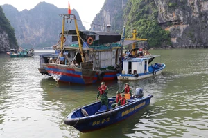 Quảng Ninh cấm biển từ 6-9, các địa phương ứng phó bão số 3