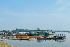 Bão số 3: Quảng Ninh tạm ngừng cấp phép tàu ra khơi từ 11 giờ hôm nay