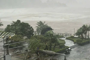 Bão số 3 đổ bộ, Quảng Ninh, Hải Phòng nhiều nơi mất điện