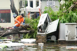 Hải Phòng tập trung mọi nguồn lực khắc phục hậu quả bão số 3