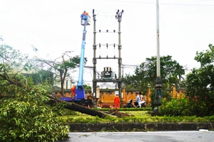 Tổng giám đốc EVN: Sẽ sớm cấp điện trở lại cho khách hàng sau bão số 3