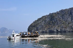 Quảng Ninh: Tổng lực 3 ngày làm sạch vịnh Hạ Long sau bão số 3