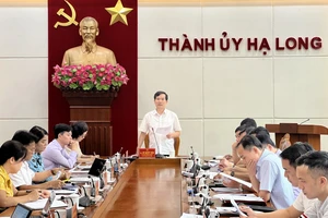 Giám đốc Ban quản lý dự án đầu tư xây dựng Hạ Long bị tạm đình chỉ công tác