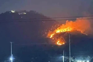 Liên tiếp xảy ra cháy rừng sau bão số 3