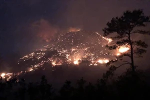 Cả quả đồi cháy rực lửa ở Bình Liêu, gần 400 người nỗ lực dập lửa