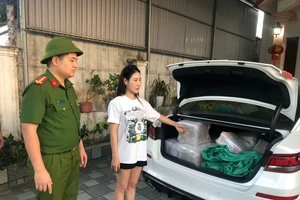 Làm giả hơn 60.000 gói thuốc bảo vệ thực vật bằng... hạt nêm