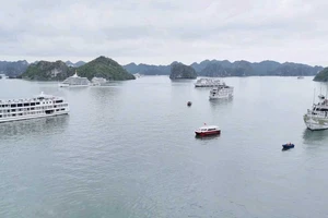 Tất cả tàu du lịch trên vịnh Hạ Long sẽ được lắp đặt thiết bị thông tin liên lạc 
