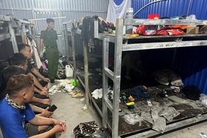 Trả ma túy cho công nhân thay vì tiền công