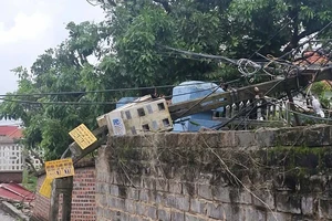 Hải Phòng: Lốc xoáy làm cây xanh, cột điện bị gãy đổ