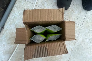 Giấu 20 kg bạc dưới đế giày rồi vận chuyển trái phép qua biên giới