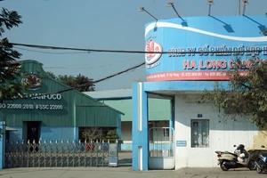 Cán bộ thú y nhận hối lộ cấp giấy khống vụ 130 tấn thịt lợn bệnh Đồ hộp Hạ Long