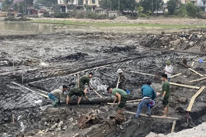 Phát hiện bãi cọc gỗ nghi từ thời Trần tại khu di tích Côn Sơn - Kiếp Bạc