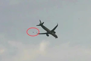 Diều sáo khiến nhiều chuyến bay tại sân bay Cát Bi phải đổi hướng, hoãn bay