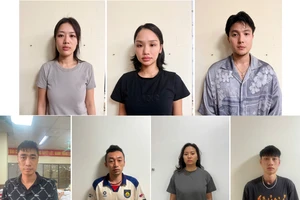 Khởi tố, tạm giam ca sĩ Miu Lê