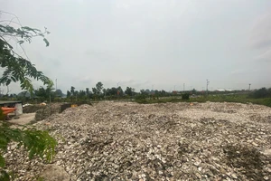 Khởi tố chủ cơ sở chế biến đổ hơn 324 tấn vỏ hàu ra môi trường