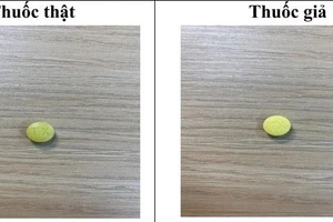 Cảnh báo thuốc kháng sinh Tetracyclin giả 