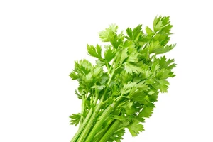 Thực hư cây cần tây chữa bệnh cao huyết áp? 