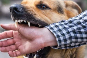 Nam thanh niên lên cơn dại sau 4 tháng bị chó cắn 