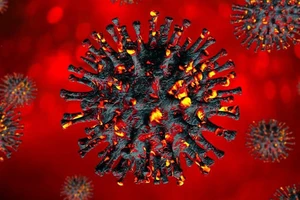 WHO đánh giá về biến thể XBB của Omicron tại Việt Nam 